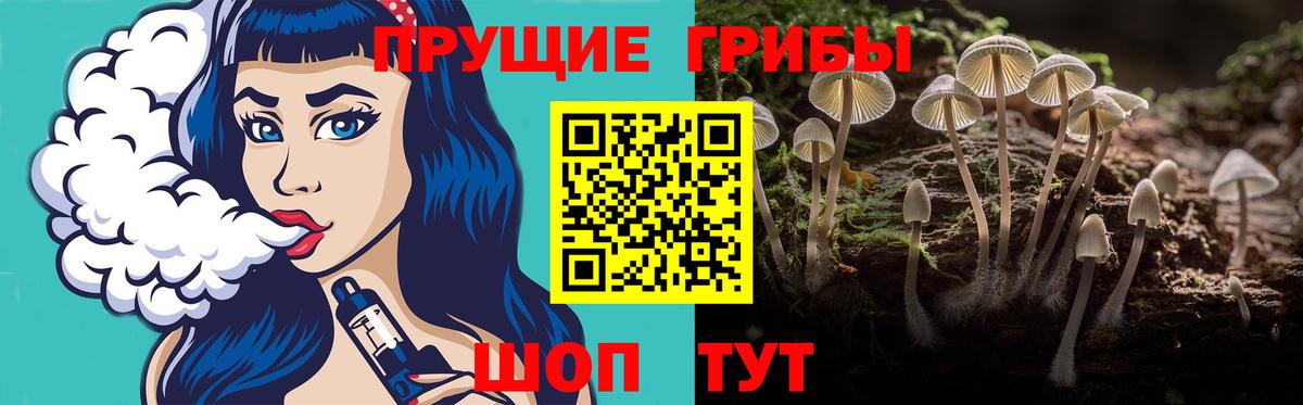 Ялуторовск  Псилоцибиновые грибы Magic Shrooms  Вход с VPN  Галлюциногенные грибы Psilocybe 